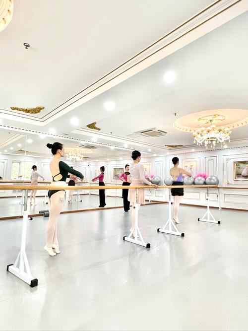 广州教师舞蹈培训学校