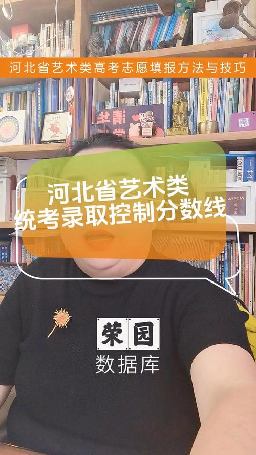 河北省艺考高考分数线