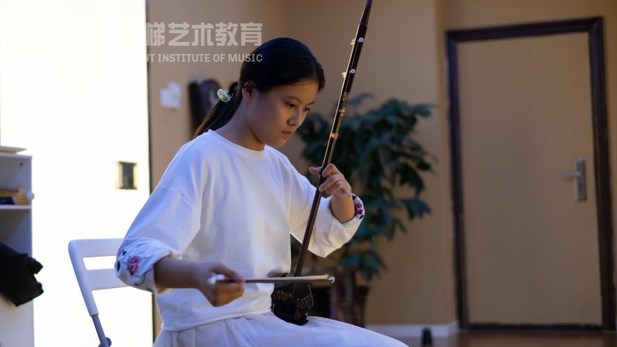 高考艺考二胡考生多吗