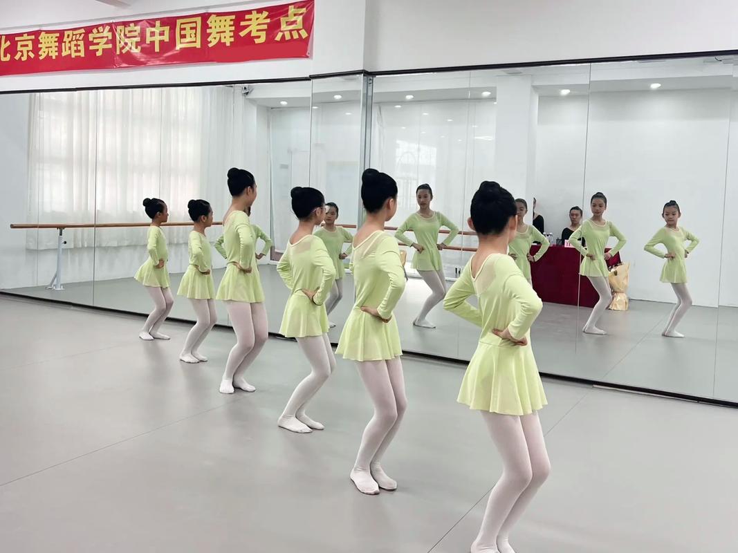 北京公立舞蹈艺术中专