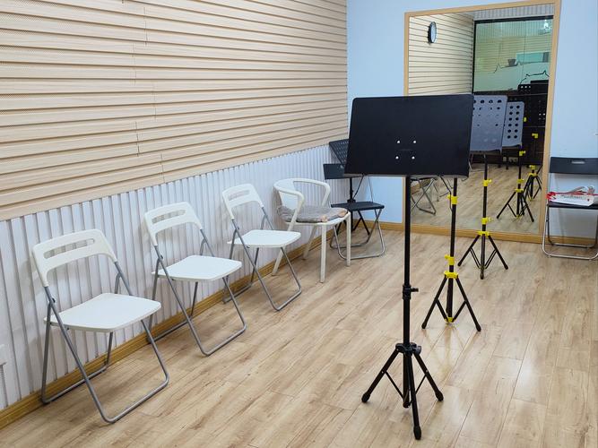 成都音乐学院乐器 培训