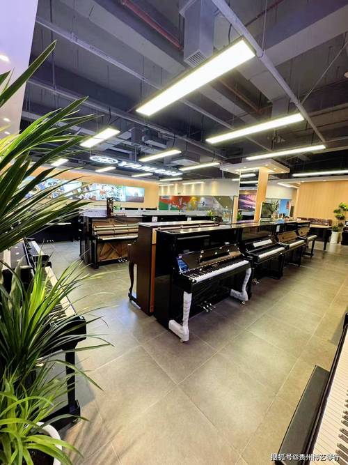 贵阳最出名音乐培训机构