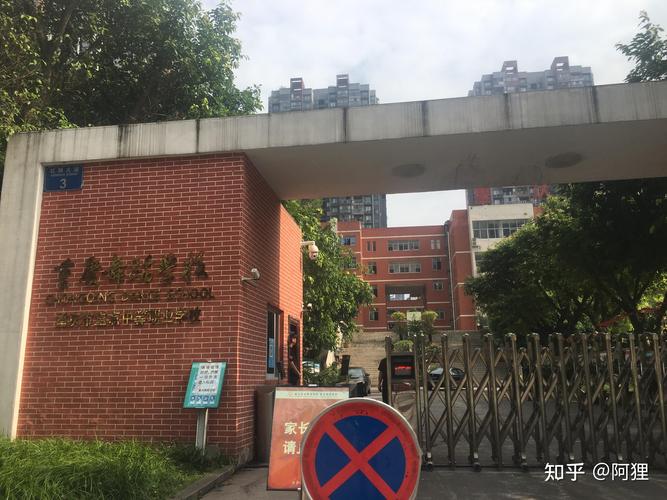 重庆的美术学校有哪些