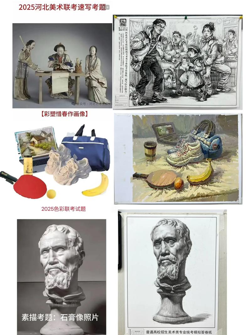 河北美术生文化255