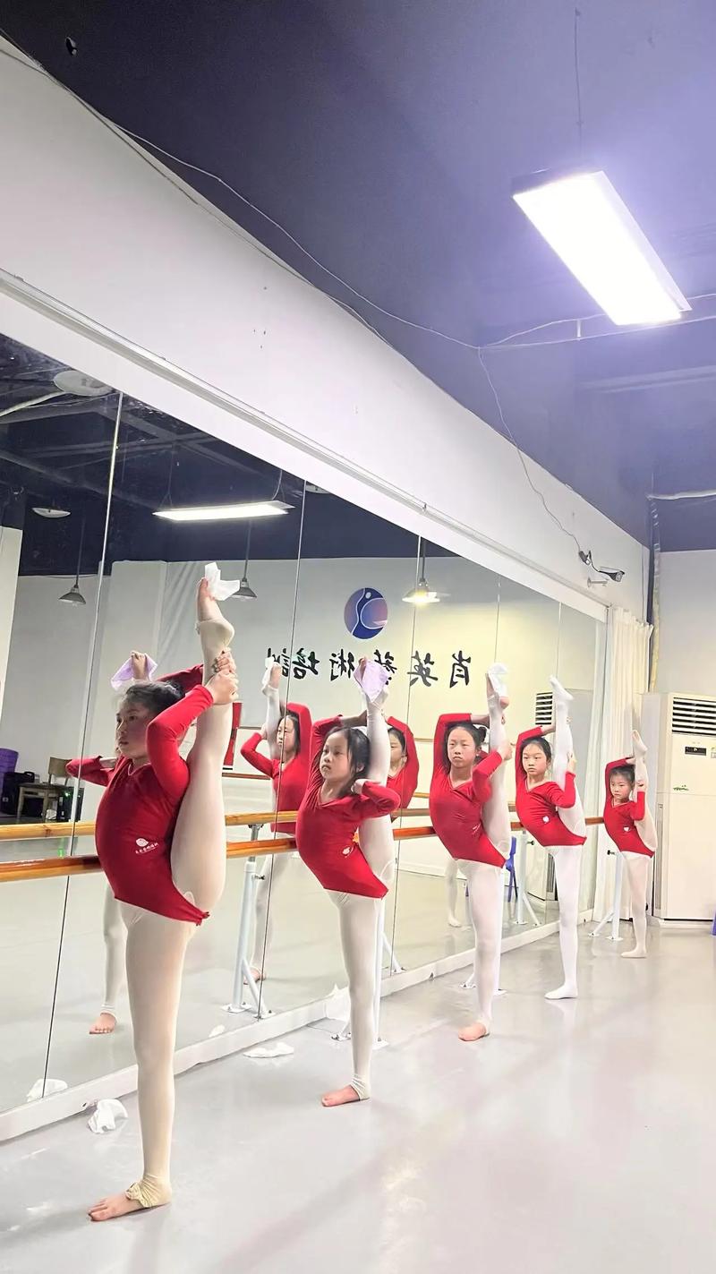 海淀舞蹈基础培训学校