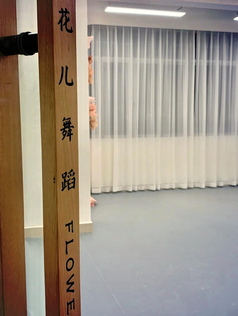 阳江幼儿舞蹈培训机构