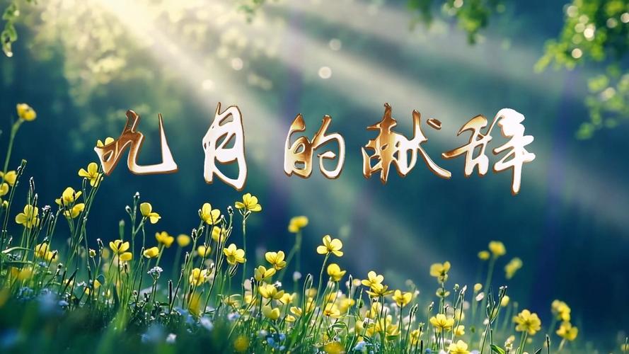 演讲适用的背景抒情音乐