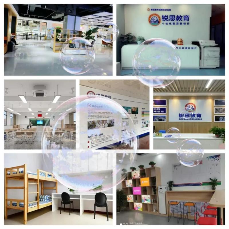 张家口艺考文化课学校