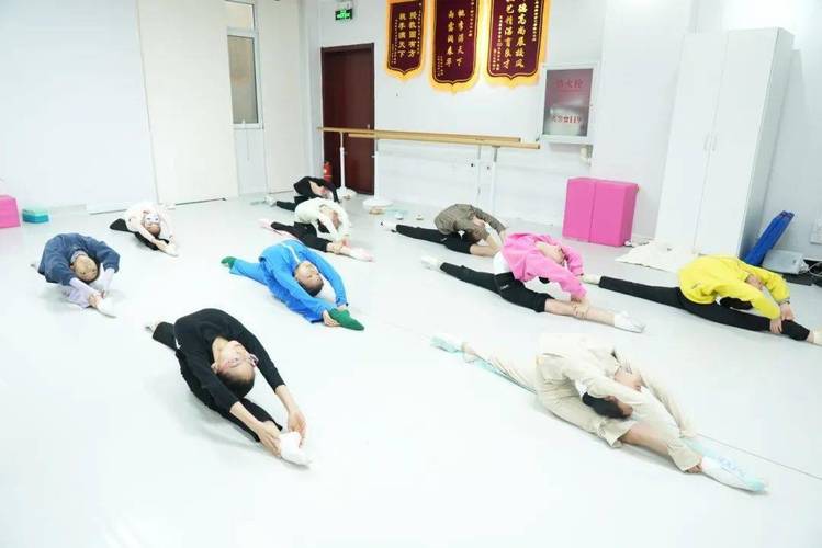 舞蹈考前大师冲刺课程