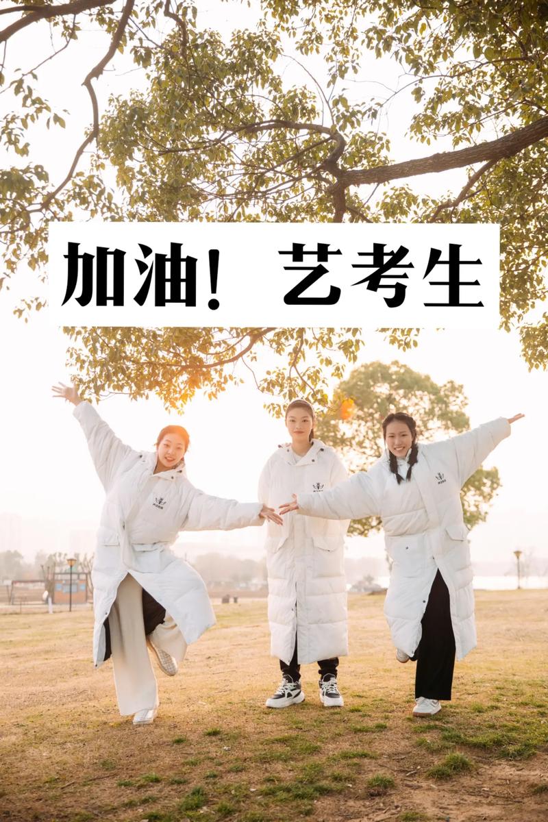 呼市12中学有艺考么