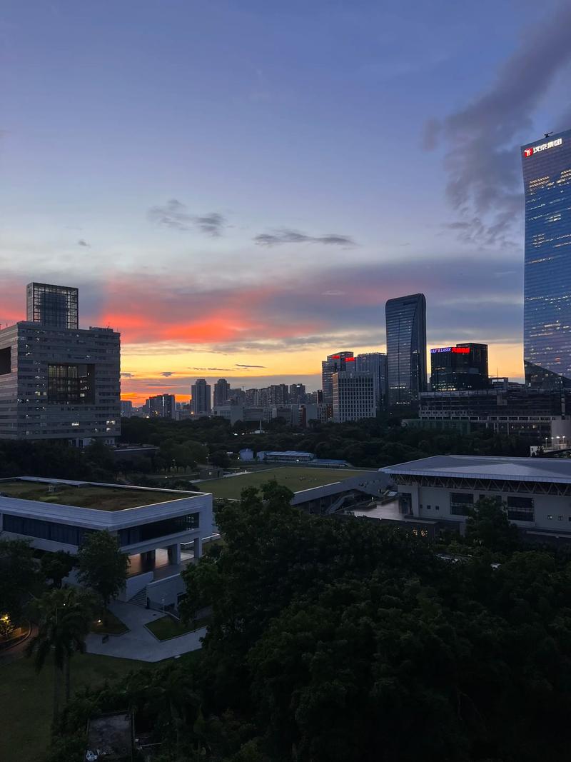 深圳大学2025年音乐