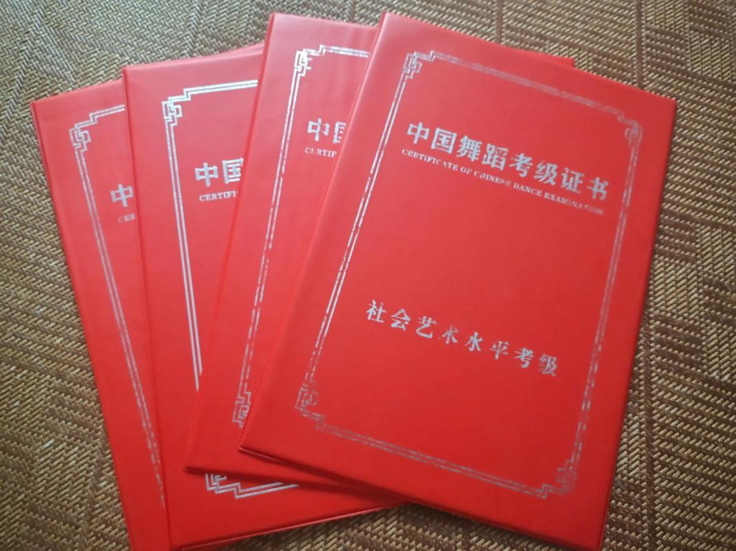 辽阳舞蹈考级哪个正规