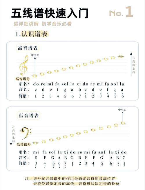 想学音乐要从哪开始学起