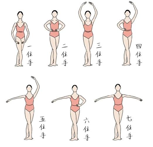 舞蹈表演专业培养方向