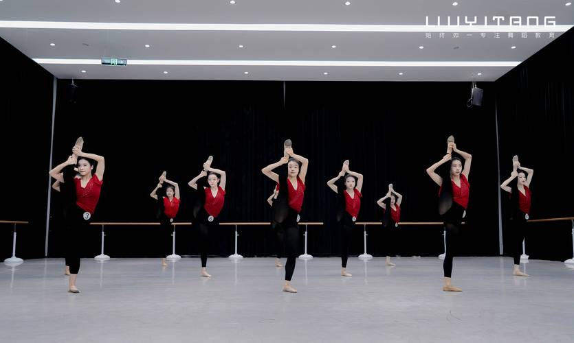 现代舞能参加高考艺考