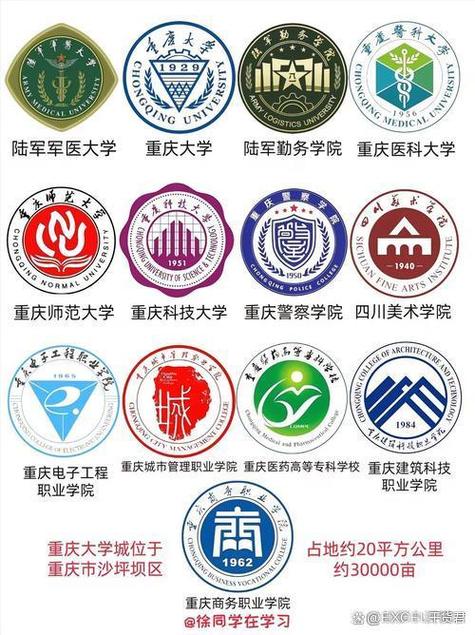 重庆哪些大学有音乐专业