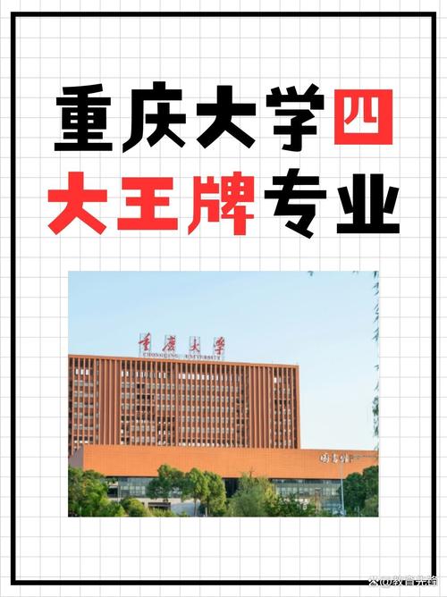 重庆哪些大学有音乐专业