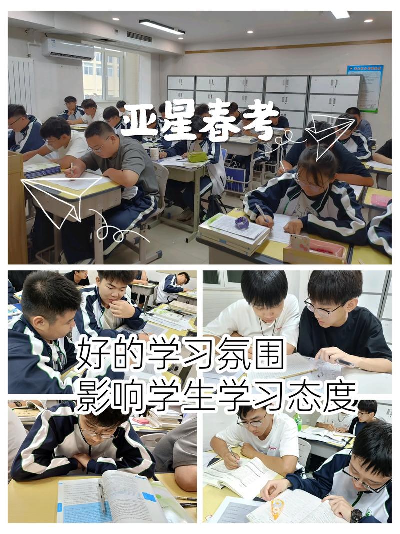 天津市新青年艺考培训