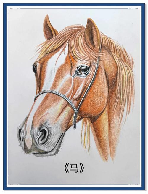 彩铅手绘简单美术中考