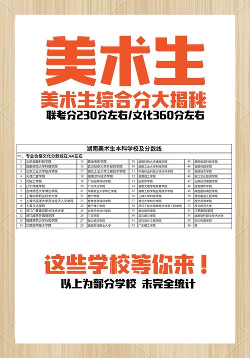 关于美术生高考的解读