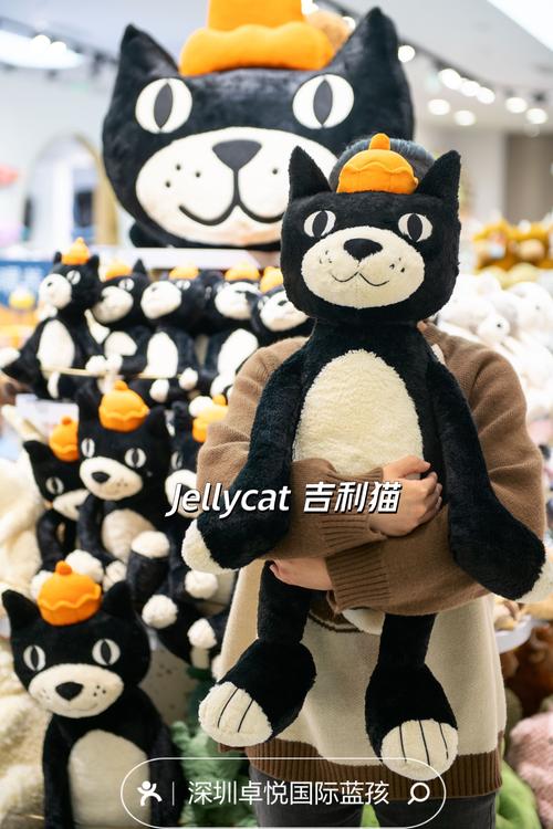 深圳音乐台jellyk