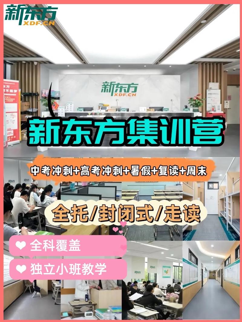 新东方艺考文化课冲刺