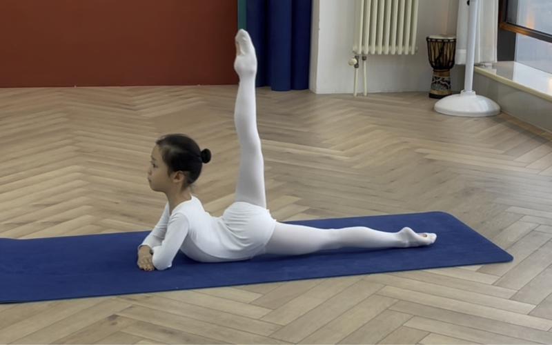 专业舞蹈学校踢腿训练