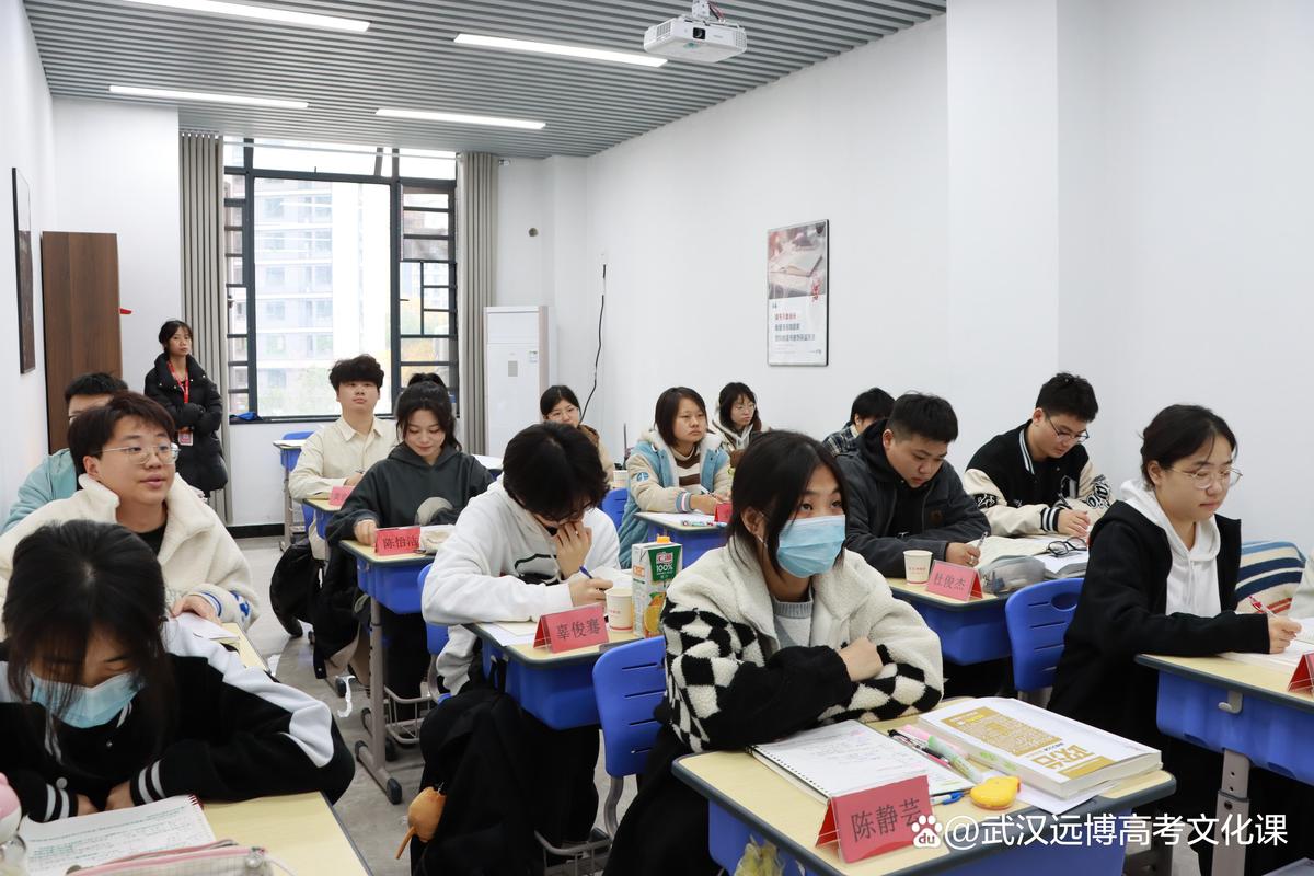 烟台新东方艺考文化课