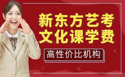 烟台新东方艺考文化课