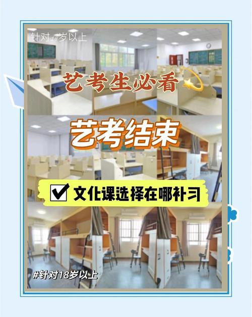 艺考专业文化课怎么办