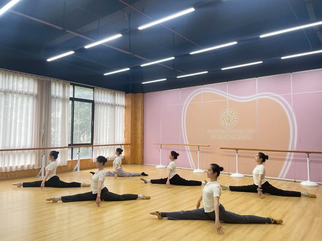 成都国际舞蹈培训学校