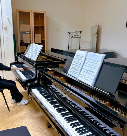 俄罗斯学音乐一年多钱