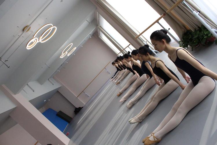 郑州比较好的舞蹈艺考