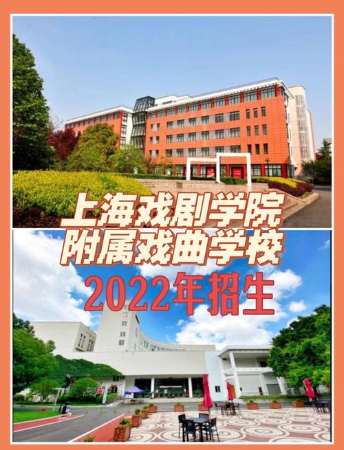 上海市艺考统考的学校