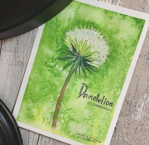 蒲公英少儿美术怎么样