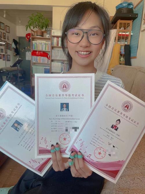 中央音乐学院有成考吗