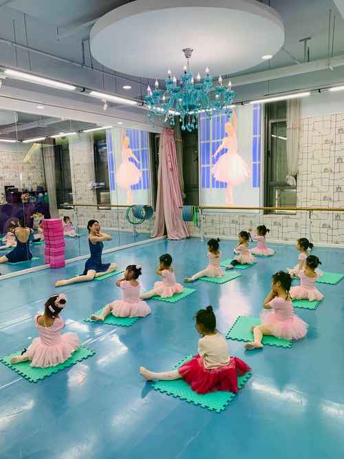 12岁舞蹈艺考培训班