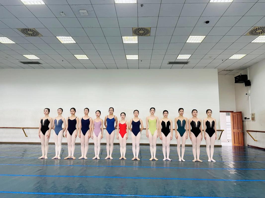 四川音乐附中流行舞系