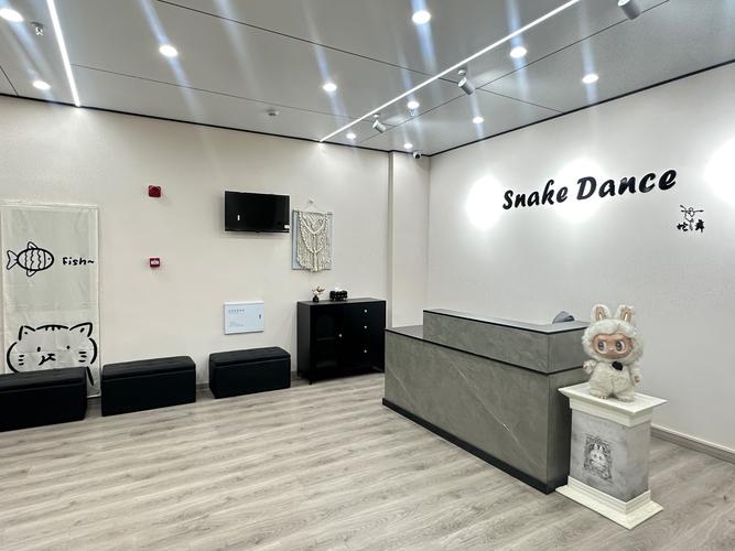 安徽合肥舞蹈培训机构