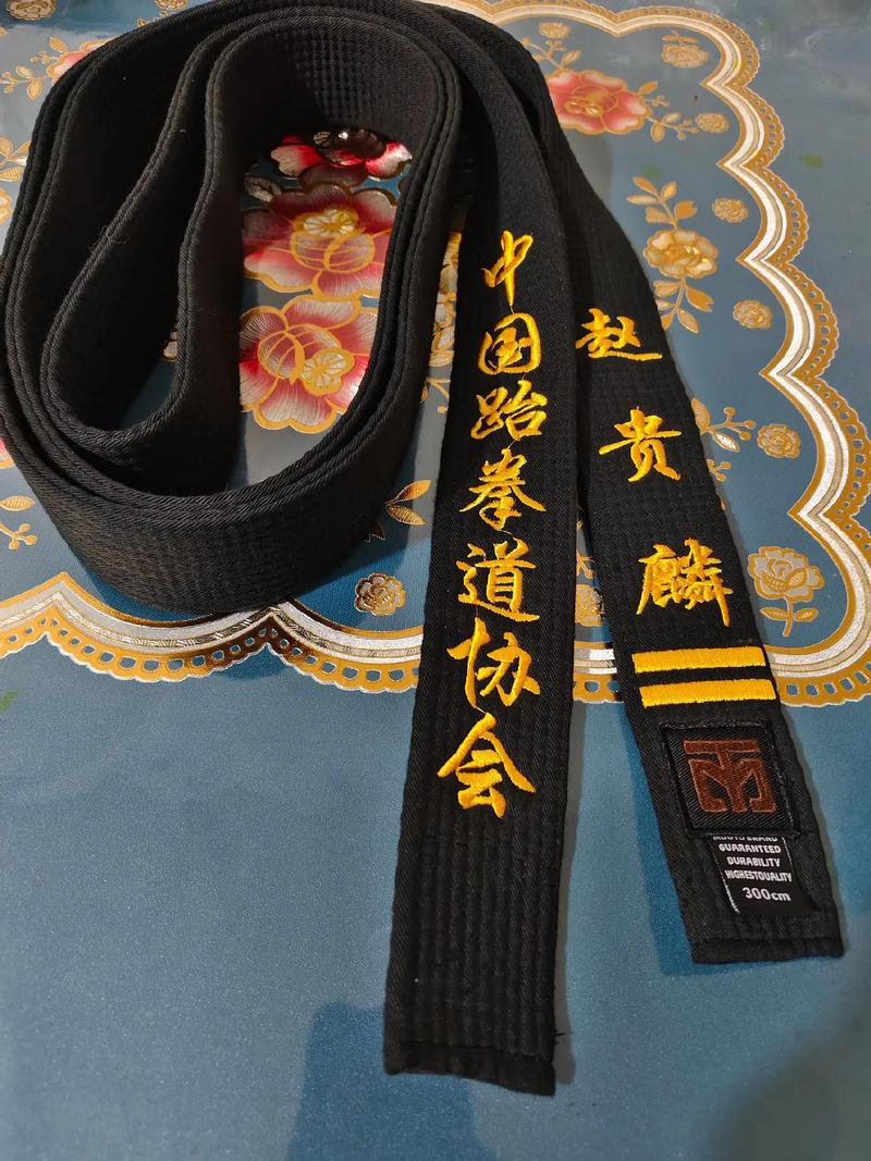 黑带三段跆拳道舞音乐