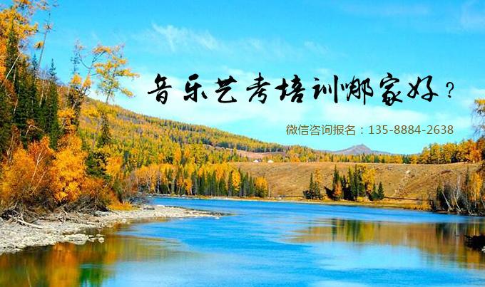 新疆艺考培训班有哪些