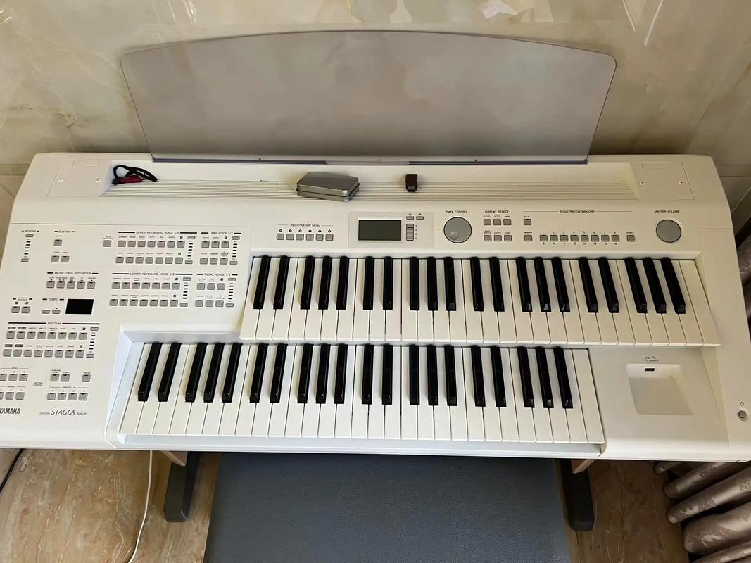 长春双排键可以艺考吗