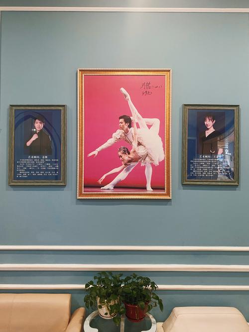 星梦艺术舞蹈学校简介