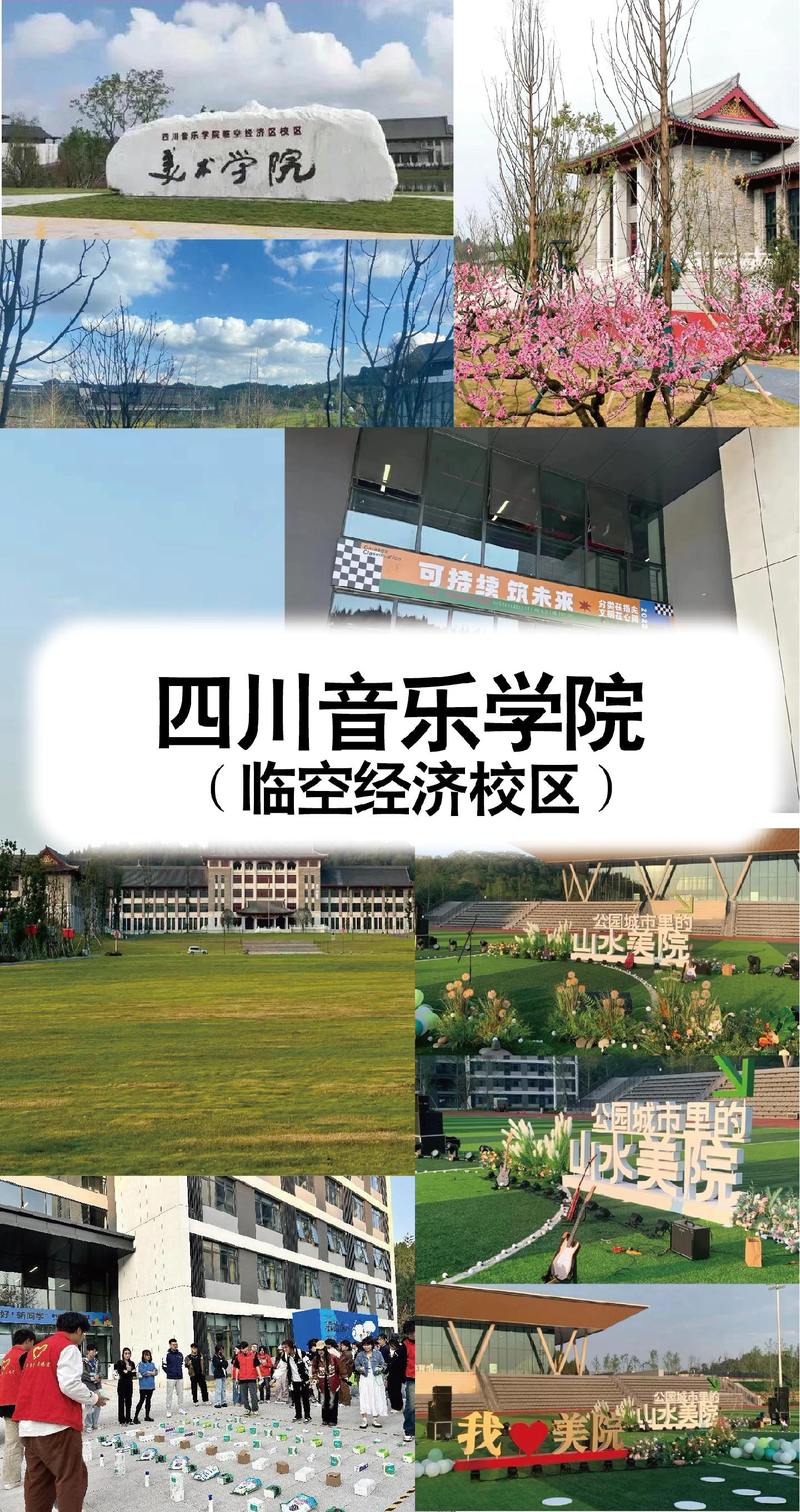 四川有音乐学院的大学