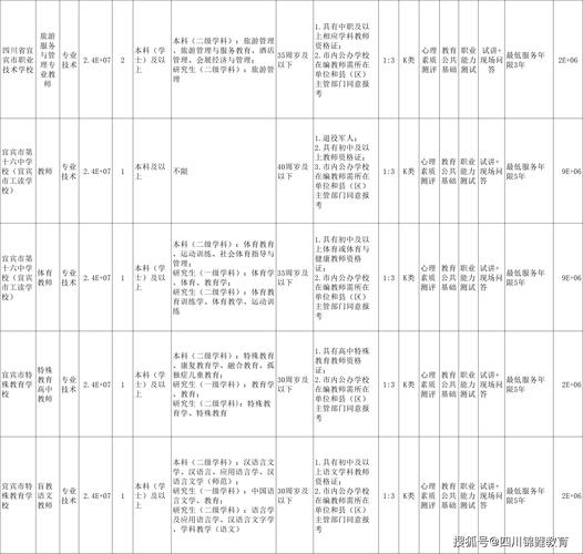 宜宾中专舞蹈老师招聘
