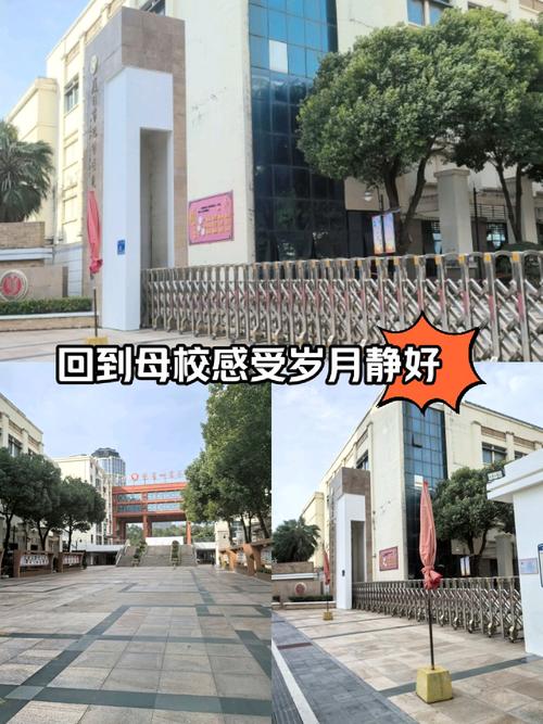 福建省有哪些音乐学校