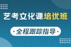 河北艺考文化课哪家好