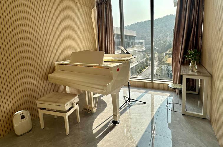 音乐学院艺考培训中心