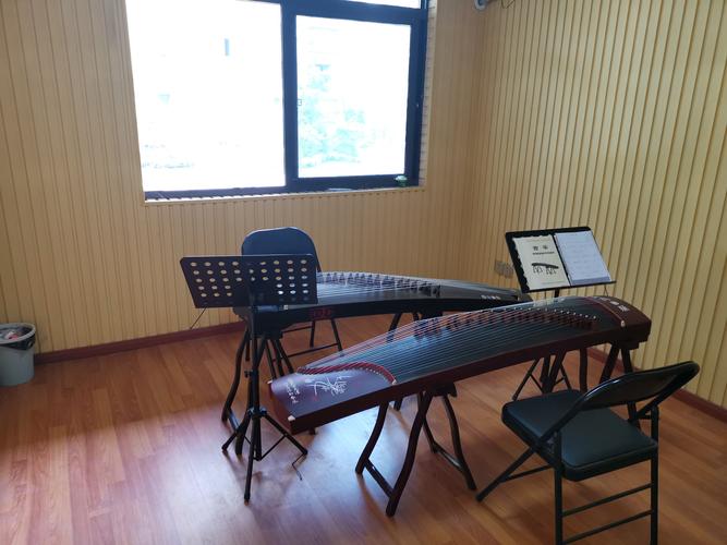 巴斯斯巴音乐专业课程