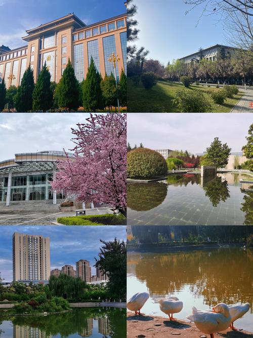 安徽音乐学院校园生活